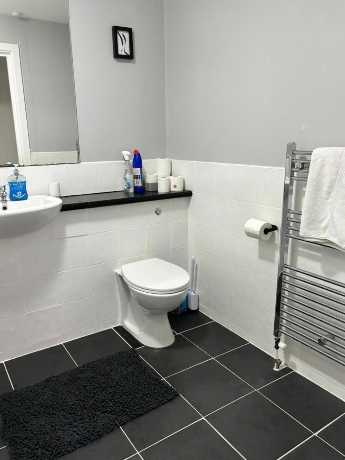2 Bedroom Ground Floor Apartment Belfast Extérieur photo